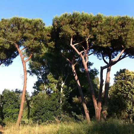 1815 Via Laurentina * La Croce di Solforata